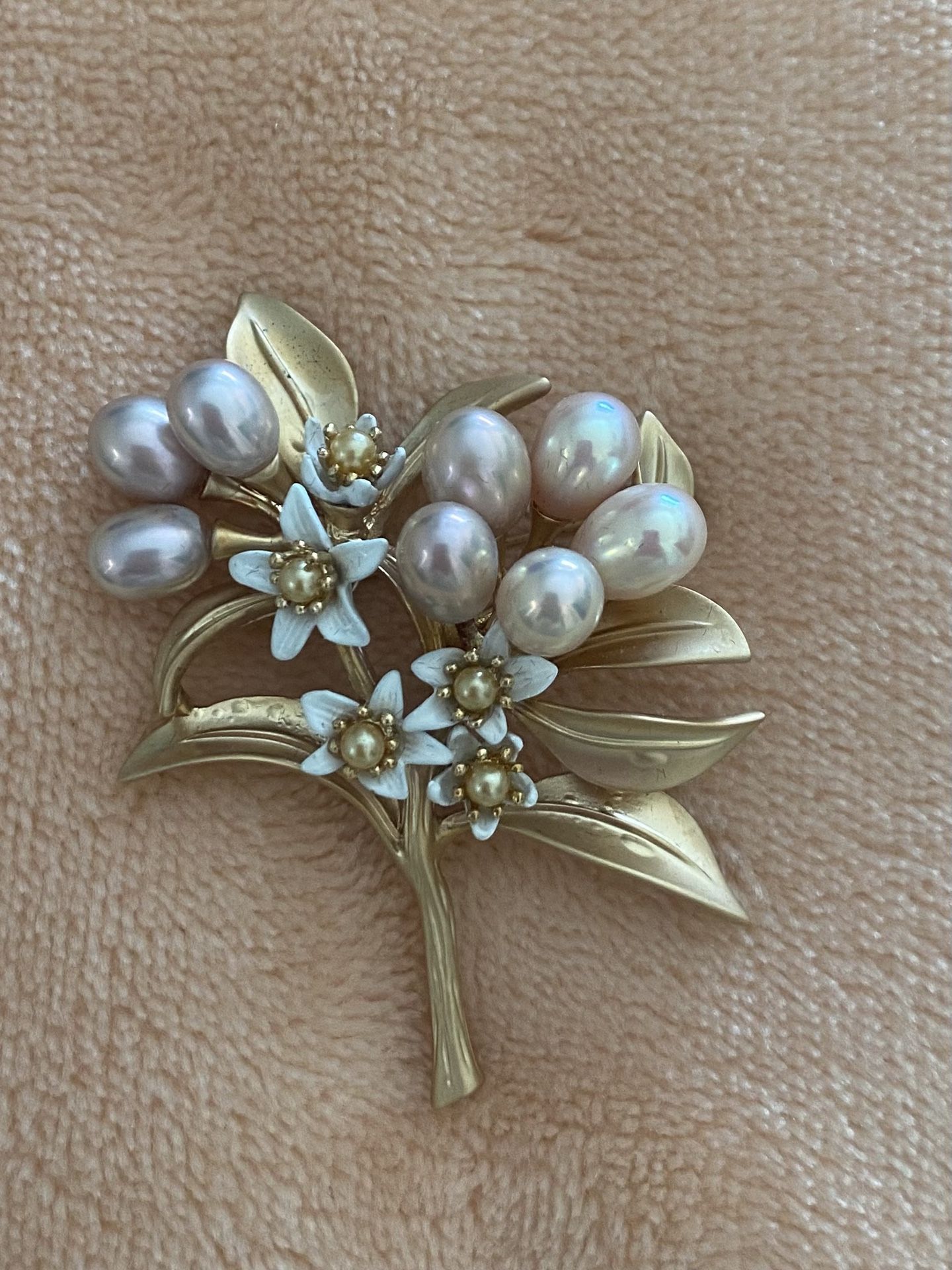 camellia Brooch