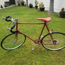 Bicycle