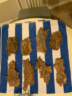 Cork wood for reptile habitat