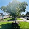 Garden Services And Tree Serv