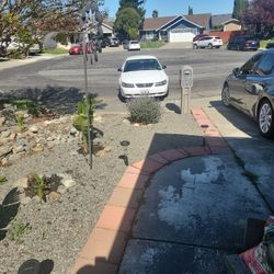 40th Edition 2004 Ford Mustang