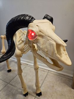 Halloween Ram skeleton decoration