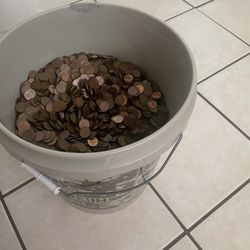 Copper Pennies 