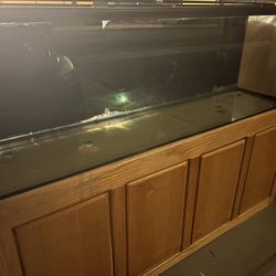 125 Gallon Aquarium Set Up