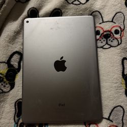 Apple ipad grey