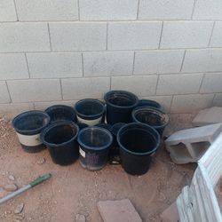 13 Flower Pots All For $5