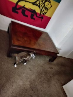 Beautiful Vintage Asian Ming coffee table