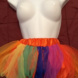 Pride Rainbow 🌈 Tutu Sz XXS