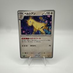 🐱 Persian – Japanese Holo