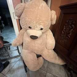 Universal Movíe Set Bear