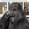 DontSlipDrip407