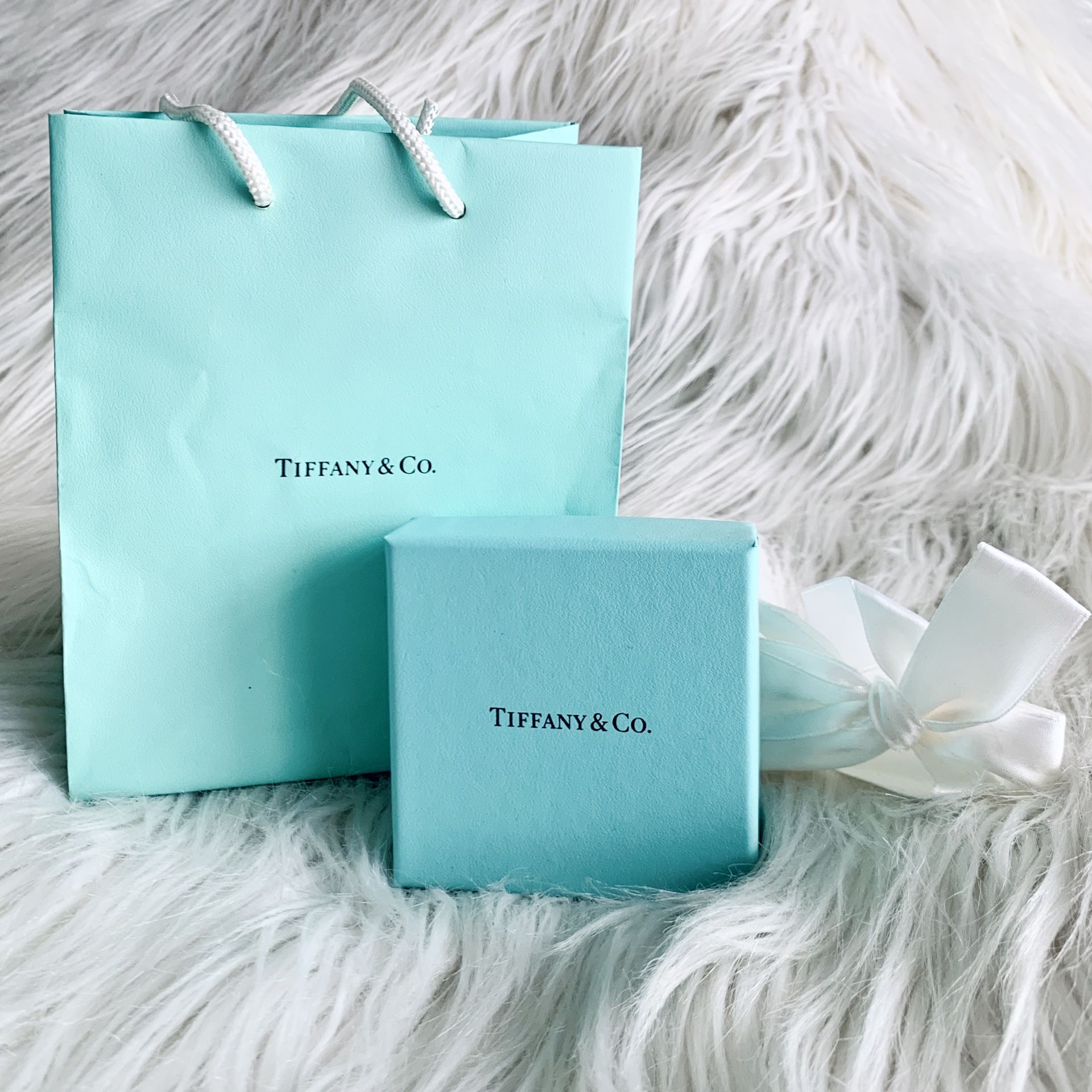 Tiffany and Co. Gift Box & Small Gift Bag