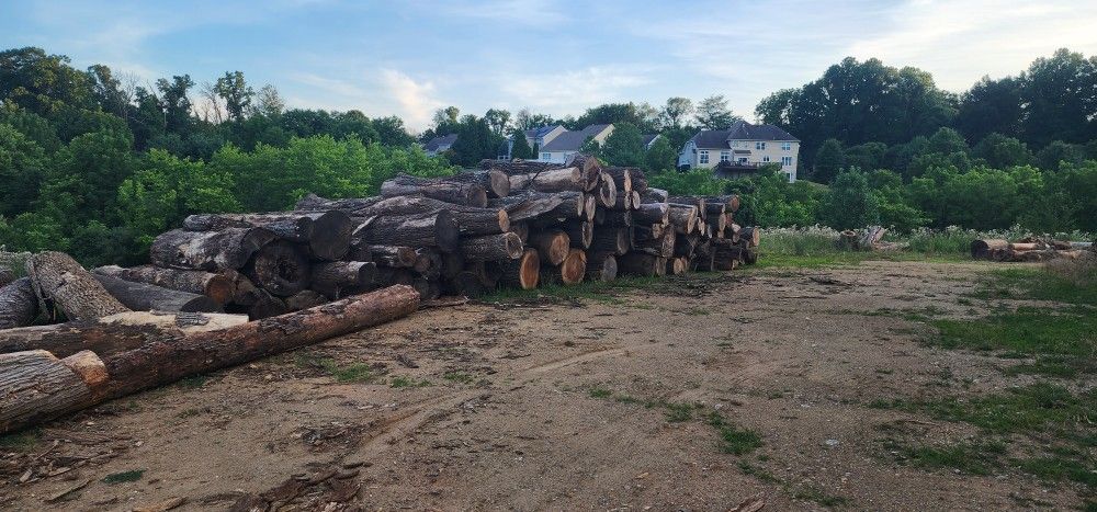 Firewood