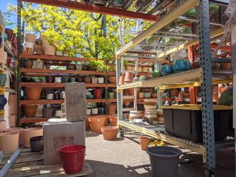 5/28/22 - Still Working to Sell These Pots and Plants