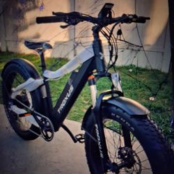 Troxus explorer ebike