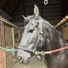 Sid -- Check out my Offers!