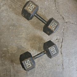 50# Dumbbells 