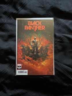 Marvel BLACK PANTHER 2021 #1 NM/VF 1:25 CLARKE VARIANT