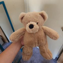 Stuffed Animal Bear