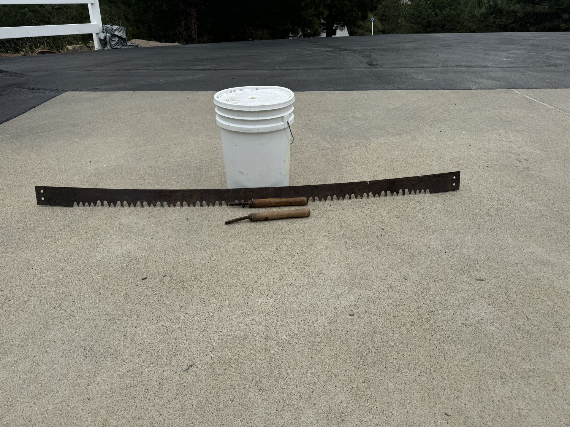 Antique Crosscut Saw