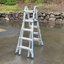 Werner Multi-position pro ladder