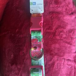 Dog Collar - L/XL 