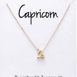 Capricorn ♑️ Zodiac Pendant Necklace