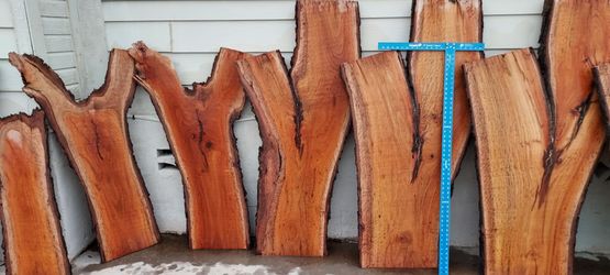 Live Edge Eucalyptus Slabs