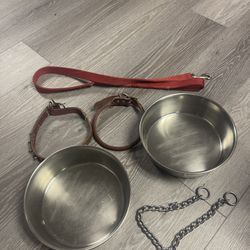 Dog Dish 