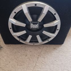 10 Inch Dual Straight Bass, Imput Amp Not Working, Speaker Good Only Pick Up 