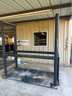 Horse Stock
