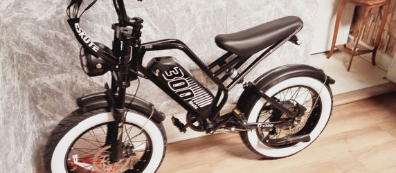 Fat Tire E-bike