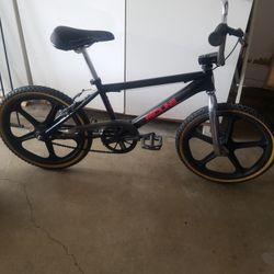 Bicycle Kids