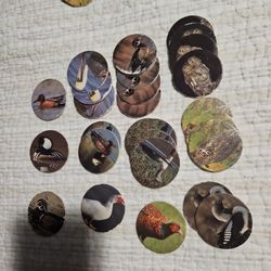 Pogs 