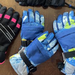 Snow Gloves 