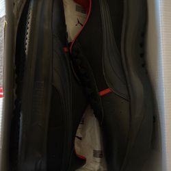 TMC PUMA 
