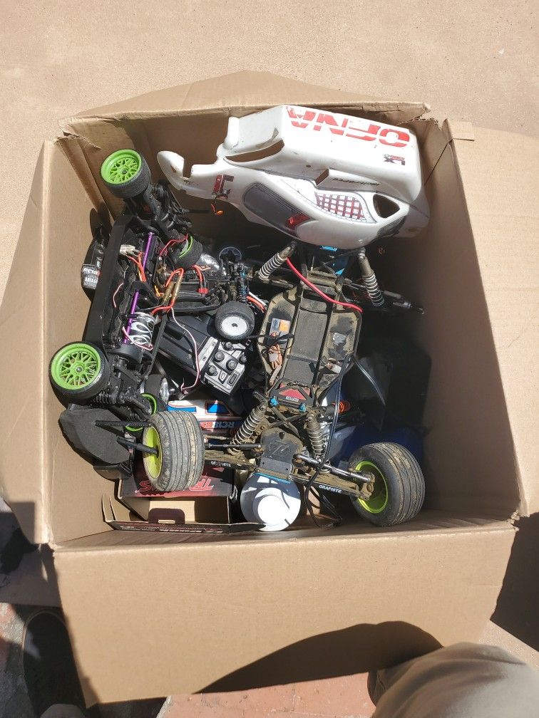 Team Losi