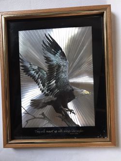 Eagle And Frame 