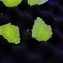 Kryptonite (2 medium Crystals)