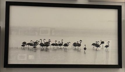 Pottery Barn Framed Black and White Flamingos Print : 24” x 12”