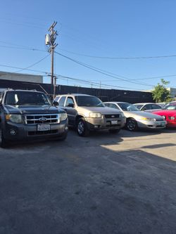 Public auctions