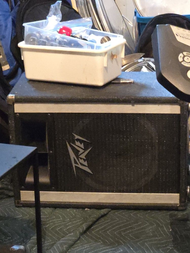 Peavy Passive Speaker