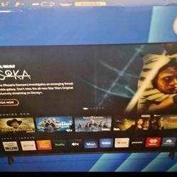 Brand New 55 Inch Tv 