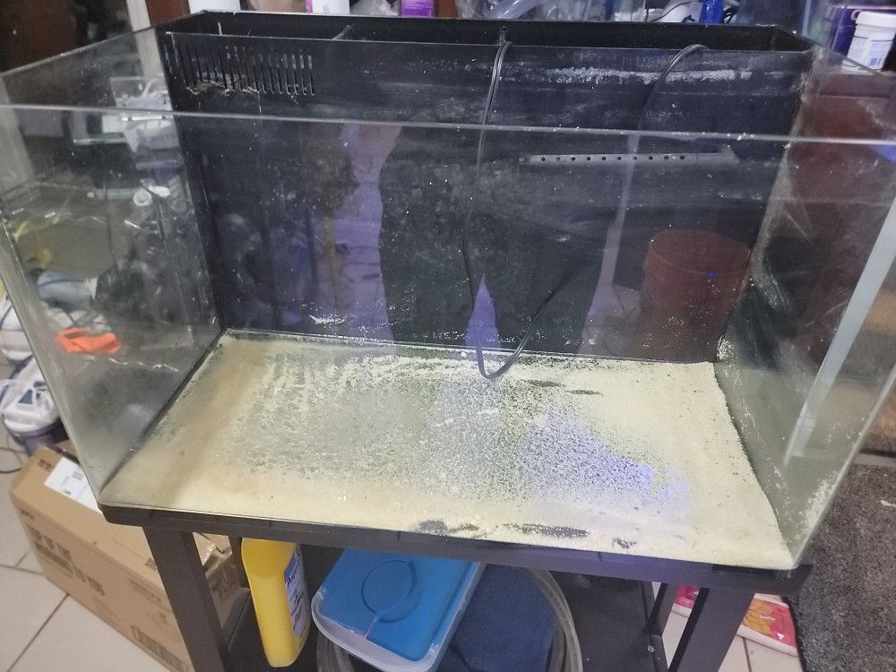 20 Gallon Curved Rimless Fish Tank