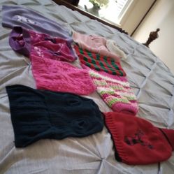 Pet Clothes 