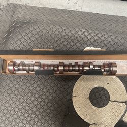 Lsx Solid Roller Cam