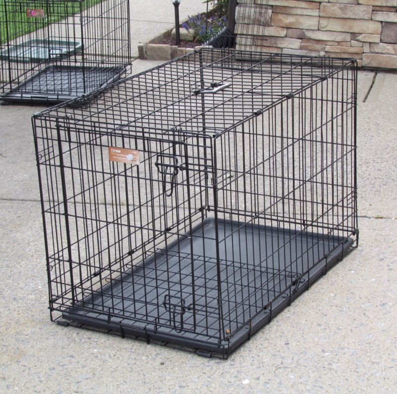 Icrate (collapsable dog crate)
