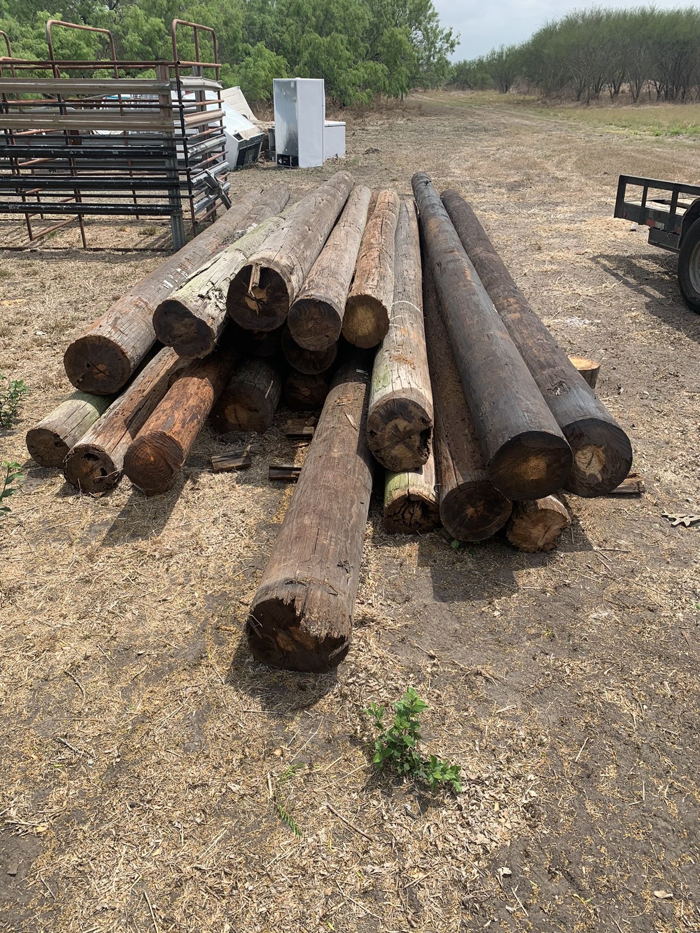 20 Ft Poles For Sale