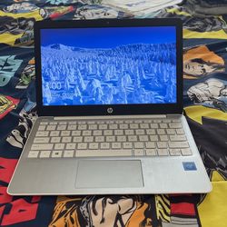 HP 11 1/2 Inch