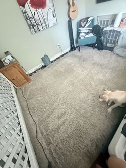 Shag rug